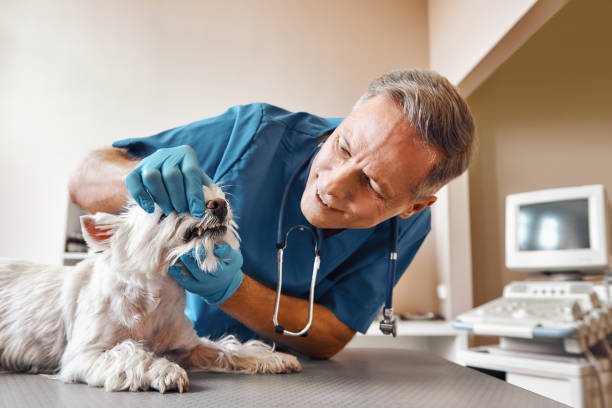 Best Weekend Emergency Dentist in Bel Nor, MO